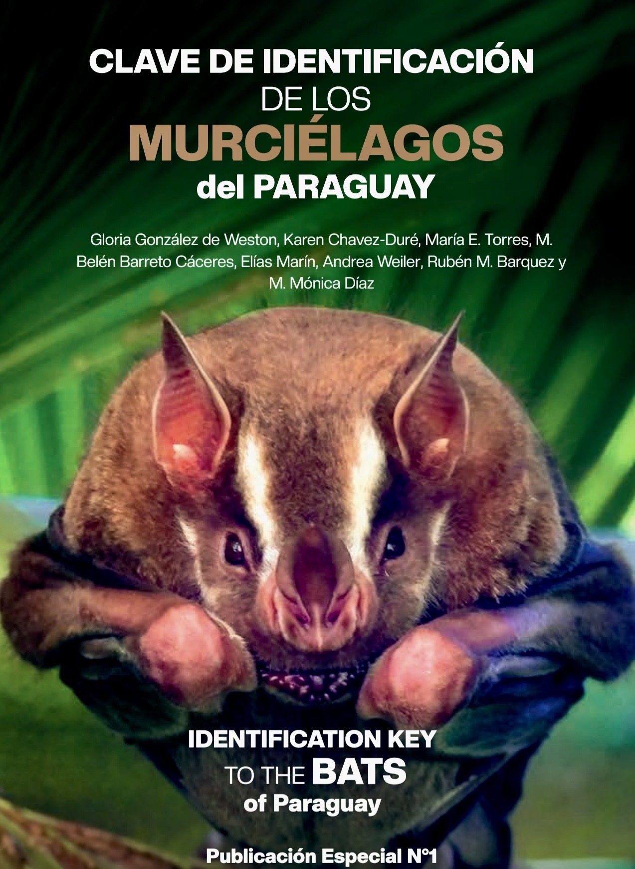 Murciélagos de Argentina 2025